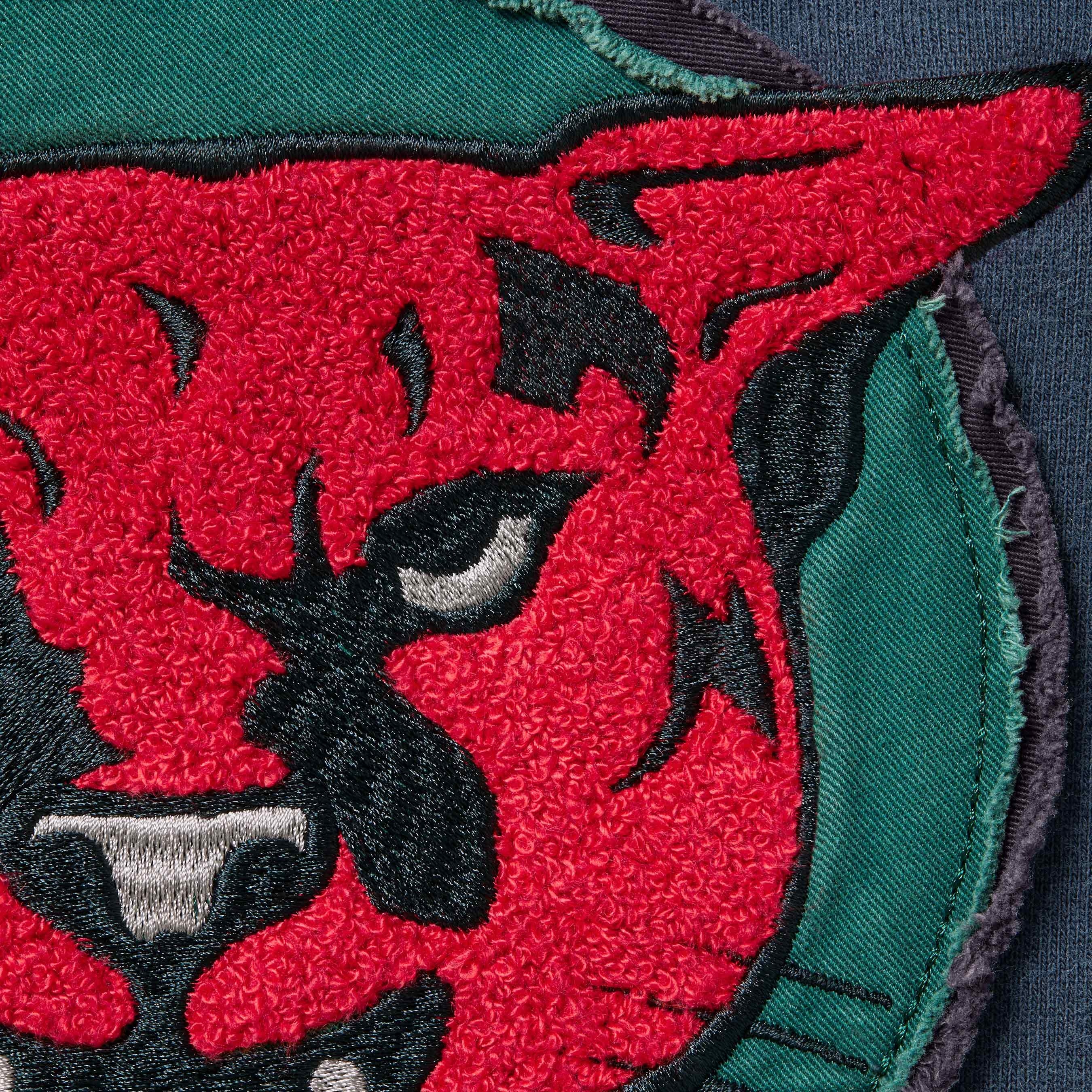 Washed Panther Hooded Sweatshirt view 7